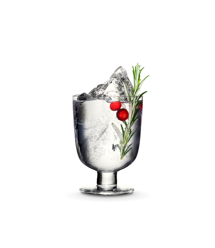 Kyrö G&T lasit ja aluset