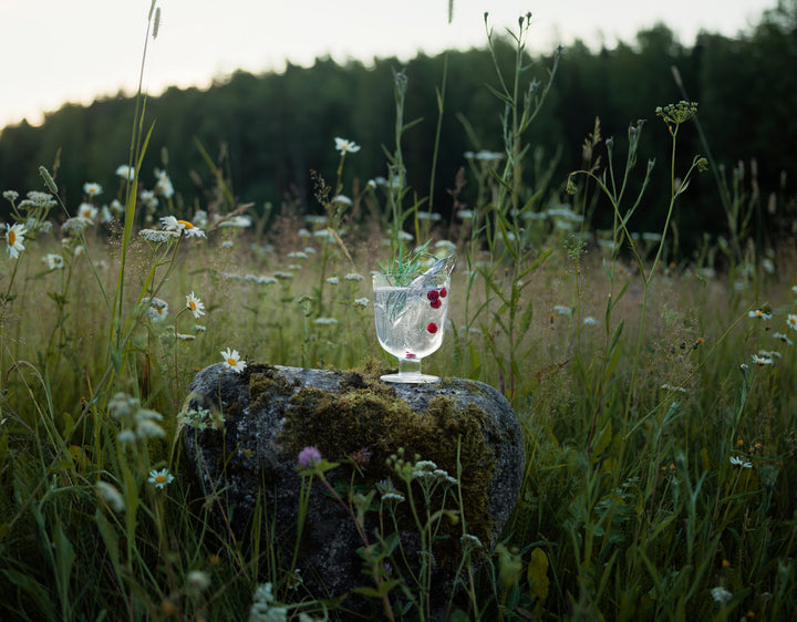 Kyrö x Iittala G&T -lasit