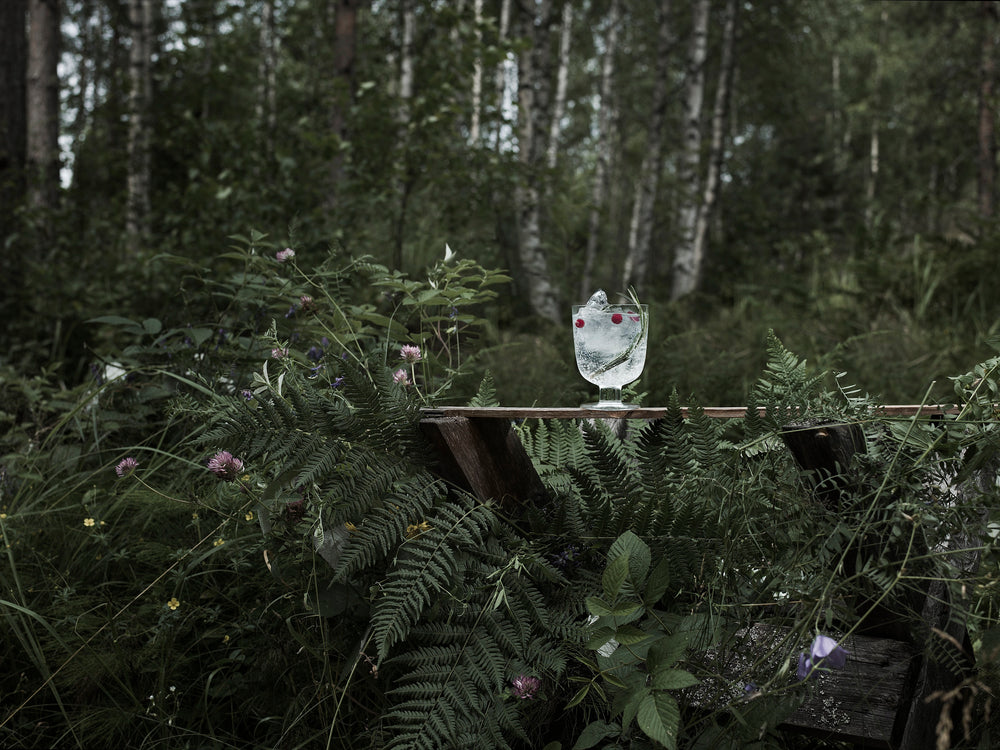 a call to Estonia
